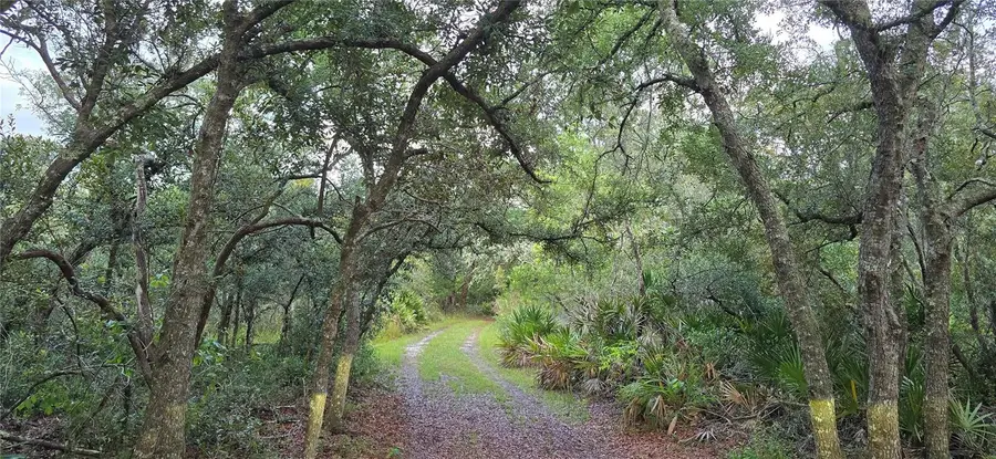 6150 SW 126th Avenue, Cedar Key, FL 32625 - #3