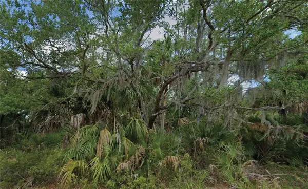 14202 Brisk Avenue, PORT CHARLOTTE, FL 33953