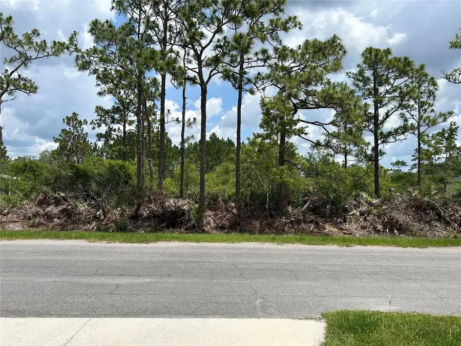 Osborne Street, Orlando, FL 32833 - #3