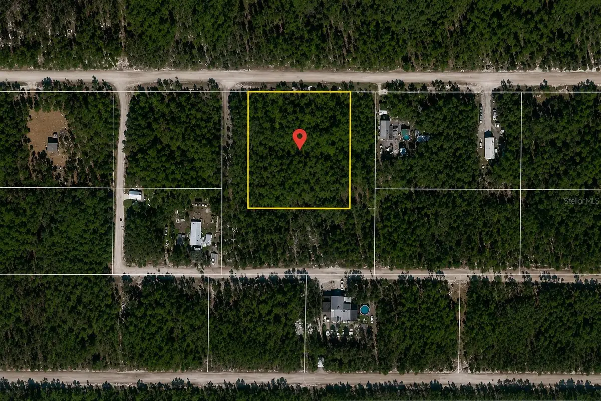 NE 239th Street, Fort McCoy, FL 32134 - #1