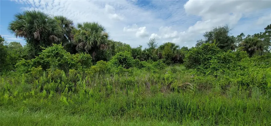 20366 NW 270th Street, Okeechobee, FL 34972 - #3
