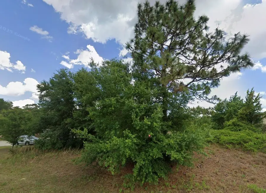 Juniper Pass, Ocala, FL 34480 - #2