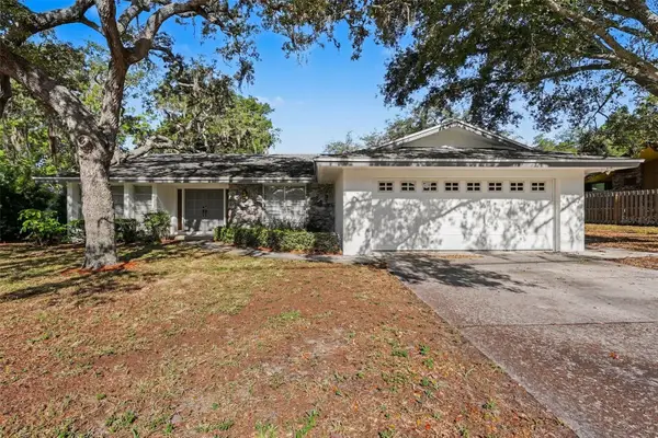 209 15th Street, PALM HARBOR, FL 34683