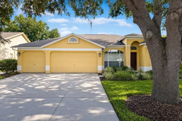 9303 Heritage Oak Court, TAMPA, FL 33647