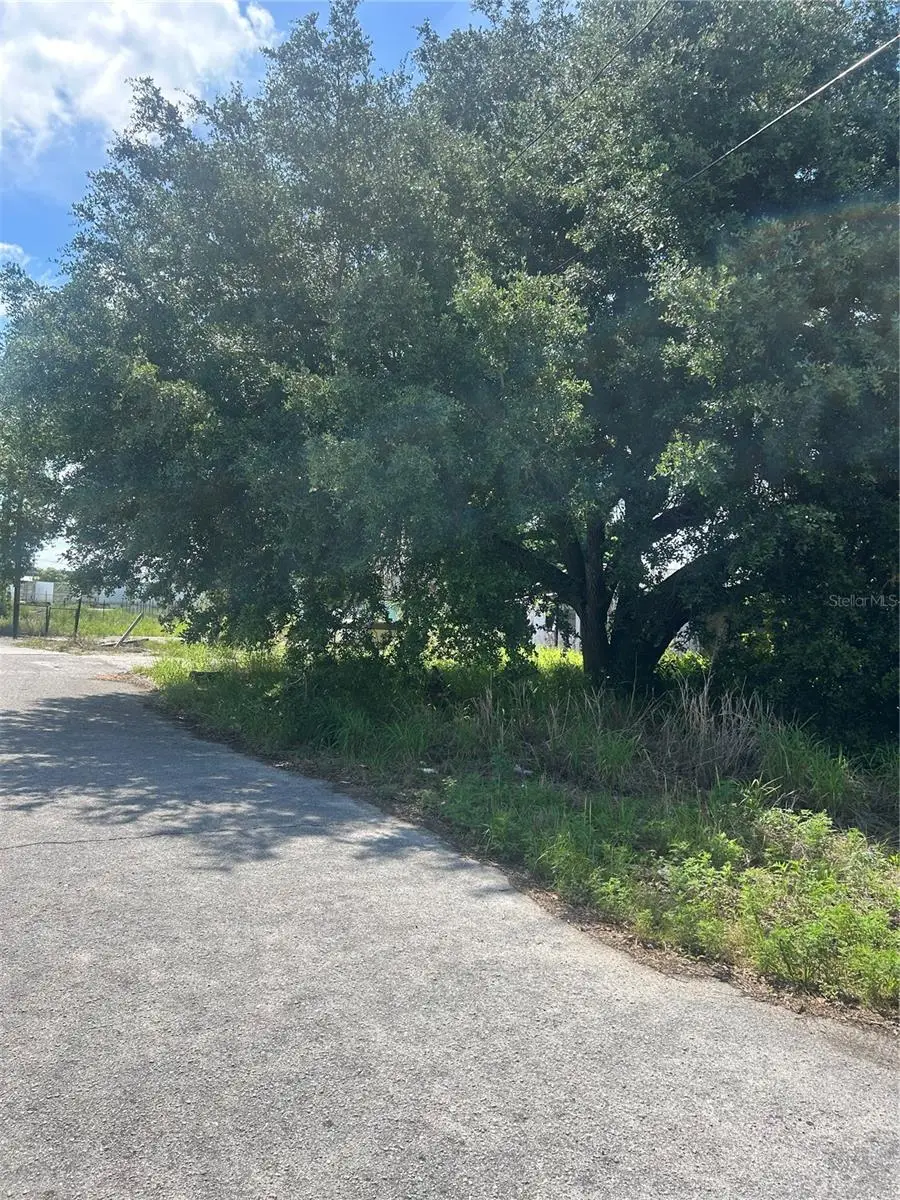 387 Avenue B, Lake Wales, FL 33859 - #3