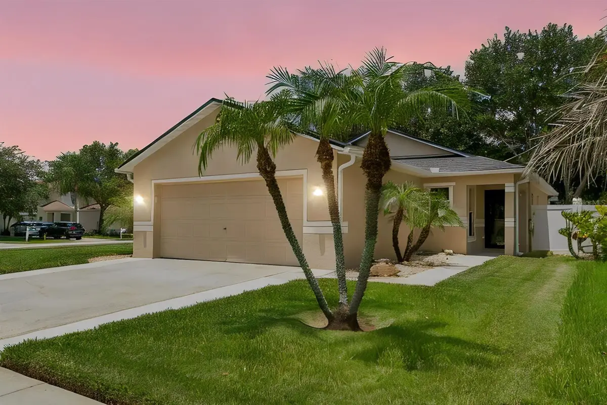 32323 Fish Hook Loop, Wesley Chapel, FL 33545 - #1