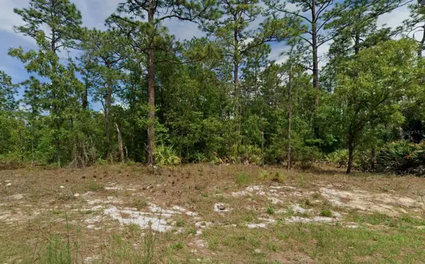 6977 N Foxdale Drive, CITRUS SPRINGS, FL 34434