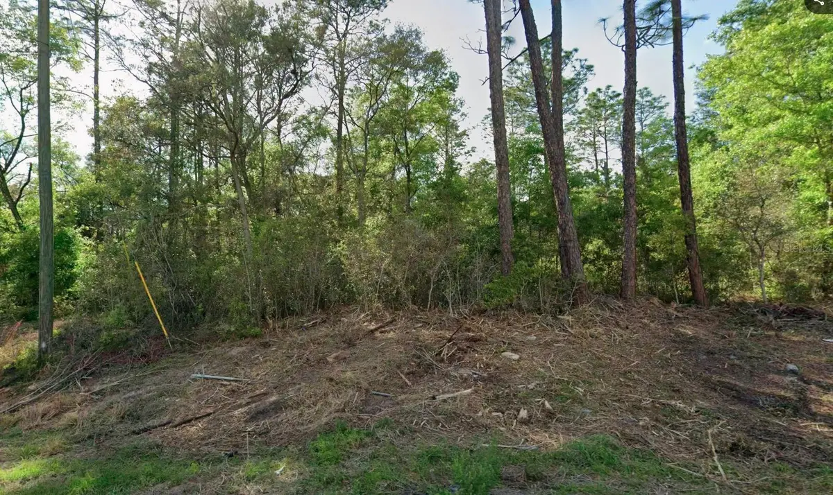 10814 N Hatari Drive, Citrus Springs, FL 34434 - #1