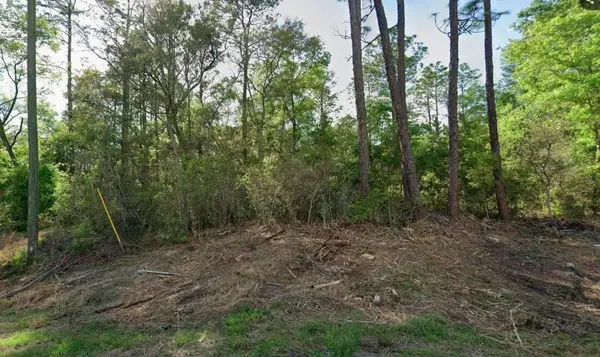 10814 N Hatari Drive, CITRUS SPRINGS, FL 34434