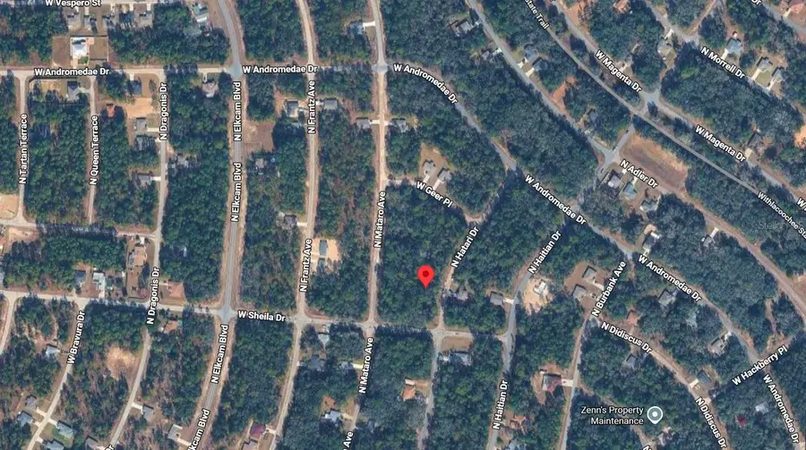 10814 N Hatari Drive, Citrus Springs, FL 34434 - #3