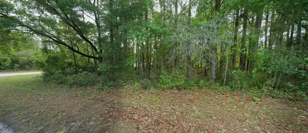 10181 N Gardner Way, CITRUS SPRINGS, FL 34434