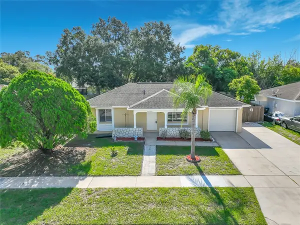 12929 Ohio Woods Lane, ORLANDO, FL 32824