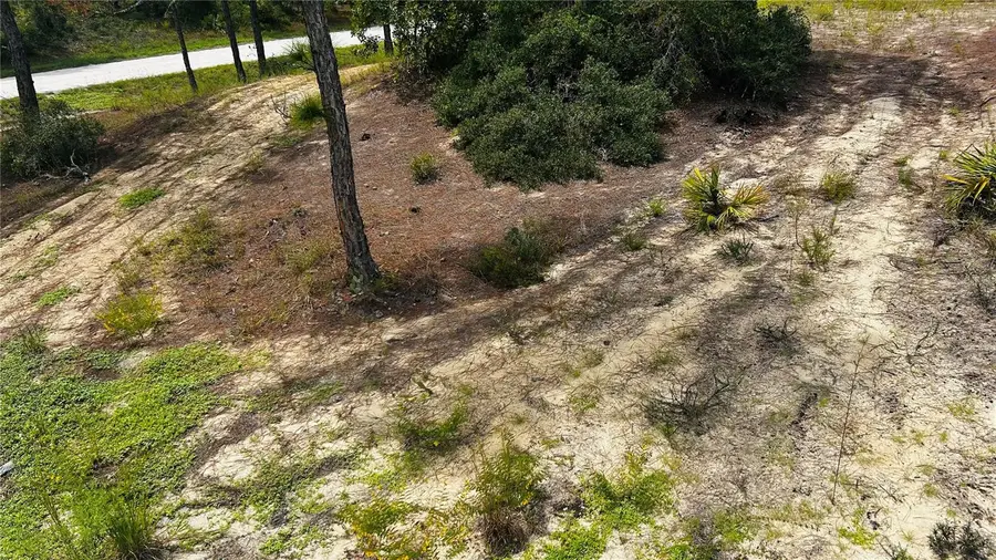 486 Dreamland Drive, Lake Placid, FL 33852 - #2
