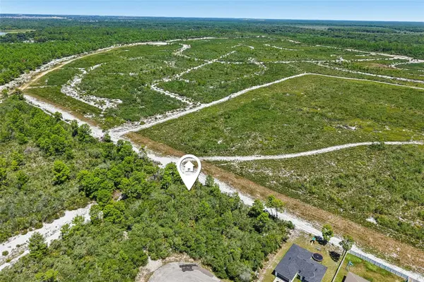 1249 Alafia Way, POINCIANA, FL 34759