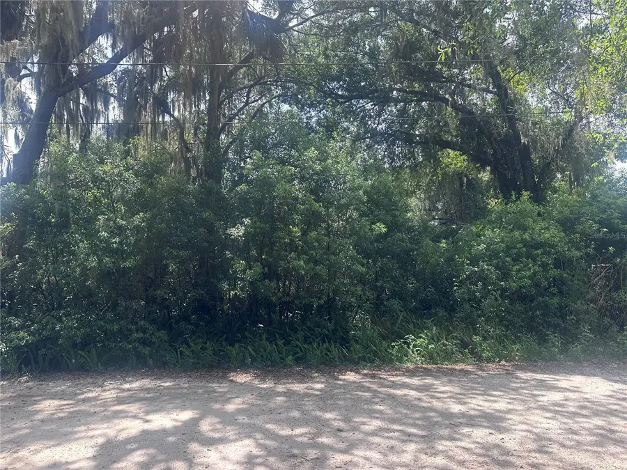 1622 Palm Street, Deland, FL 32720 - #3