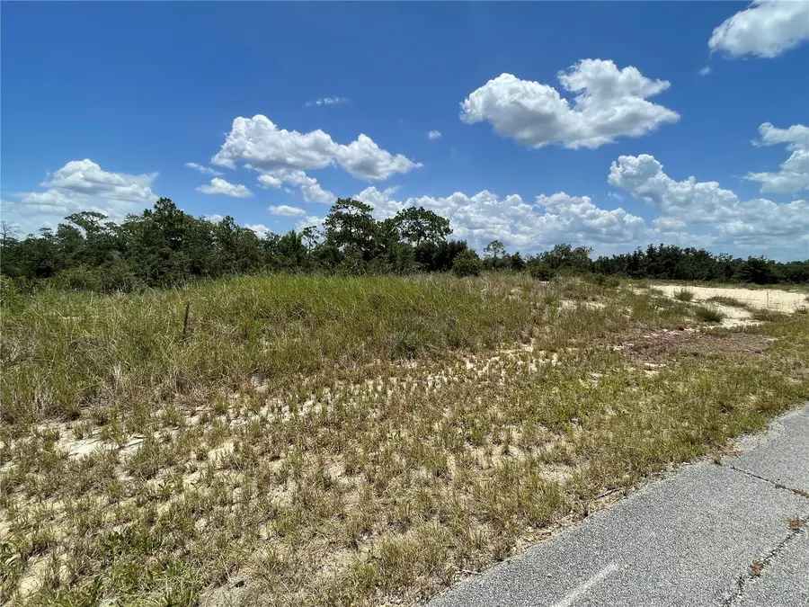 1342 Homosassa Court, Poinciana, FL 34759 - #2