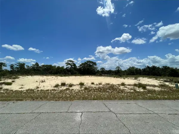 1344 Homosassa Court, POINCIANA, FL 34759