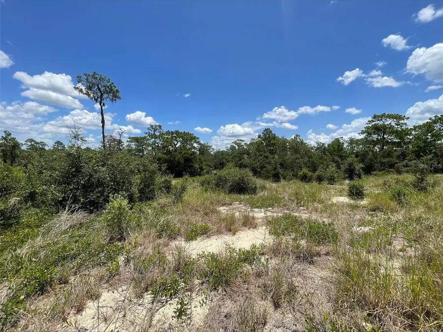 1340 Homosassa Court, Poinciana, FL 34759 - #2
