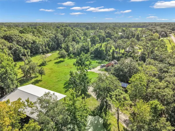 24003 Sisler Avenue, CHRISTMAS, FL 32709