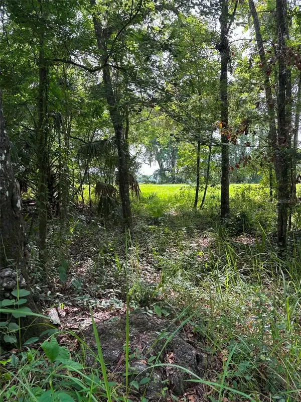 12168 Ponce De Leon Boulevard, BROOKSVILLE, FL 34601