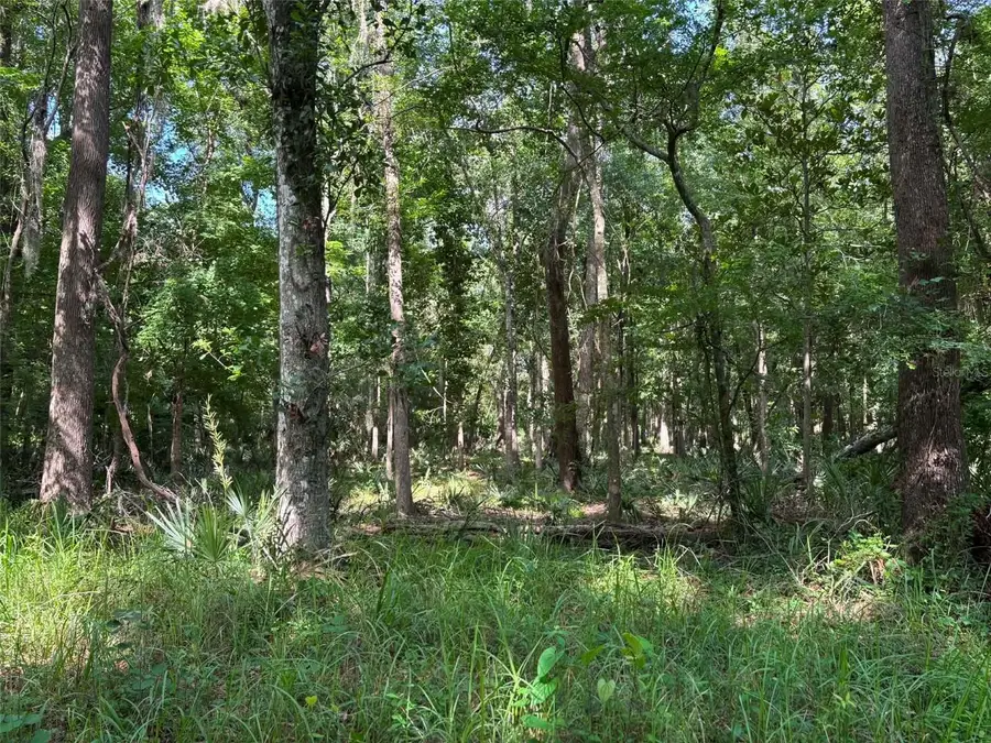 12168 Ponce De Leon Boulevard, Brooksville, FL 34601 - #3