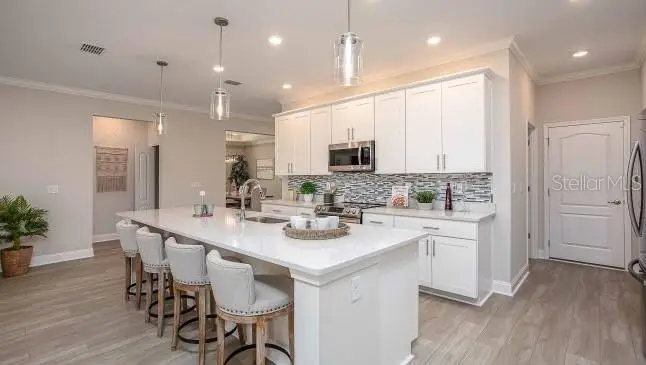 TBD Lisa Drive, Tavares, FL 32778 - #2