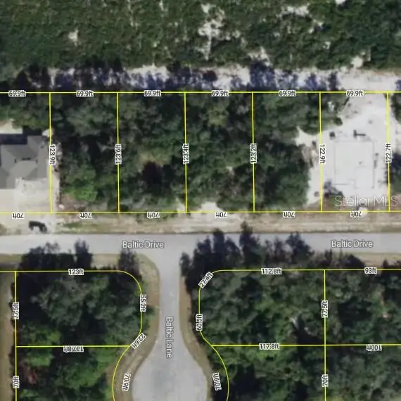 1217 Baltic Drive, Poinciana, FL 34759 - #1