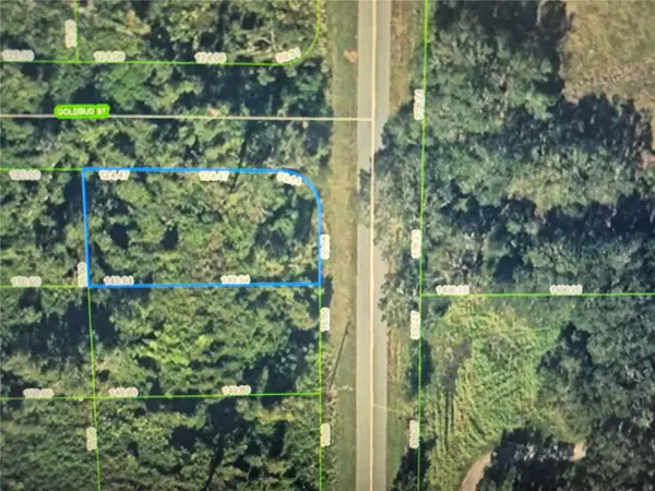 242 Highlands Lake Drive, LAKE PLACID, FL 33852