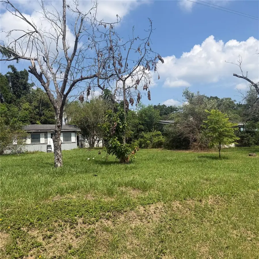 4916 Eli Street, Orlando, FL 32804 - #3