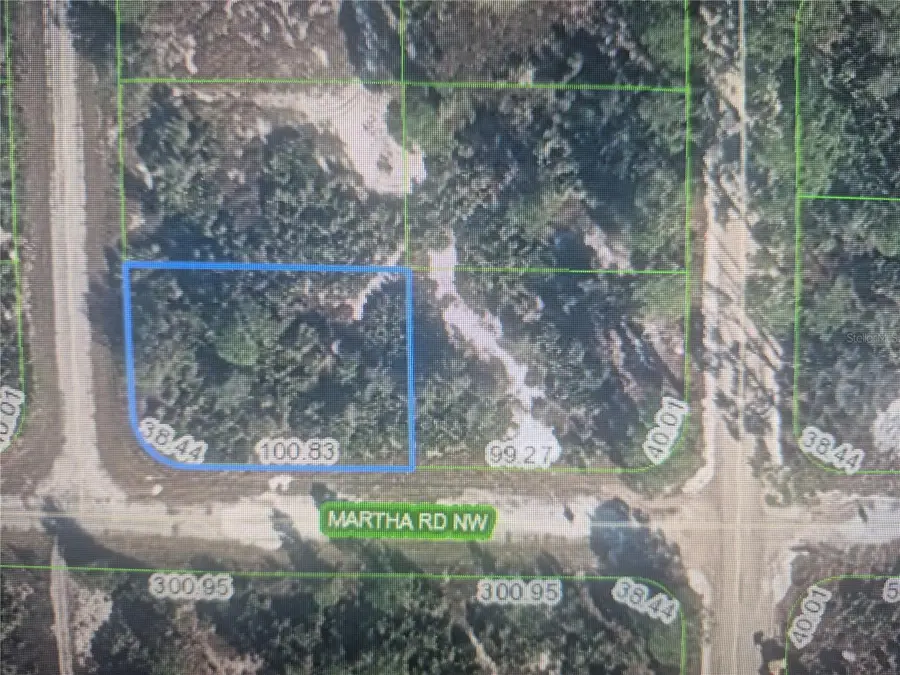 220 Broach Street Nw, Lake Placid, FL 33852 - #3