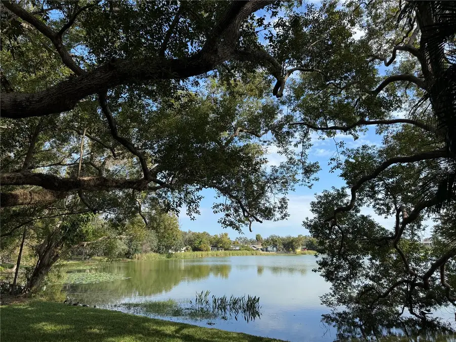 2943 Eagle Lake Drive, Orlando, FL 32837 - #3