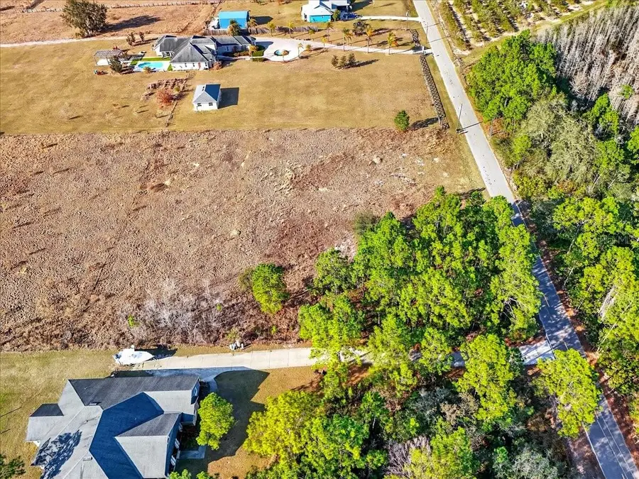 Sweet Hill Road, Polk City, FL 33868 - #3