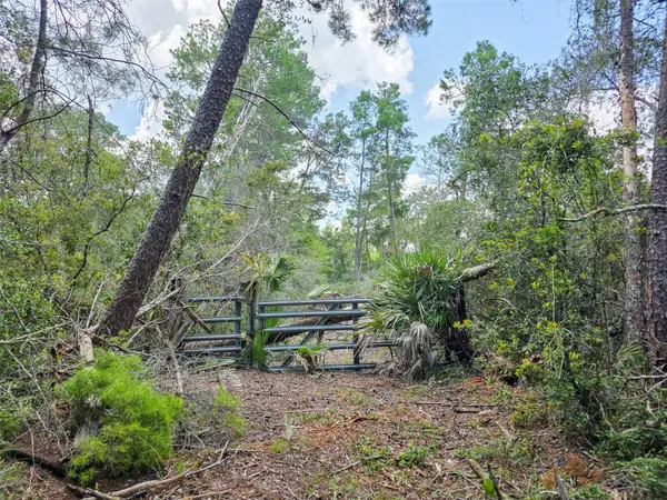 340 Sand Pine Place, GENEVA, FL 32732