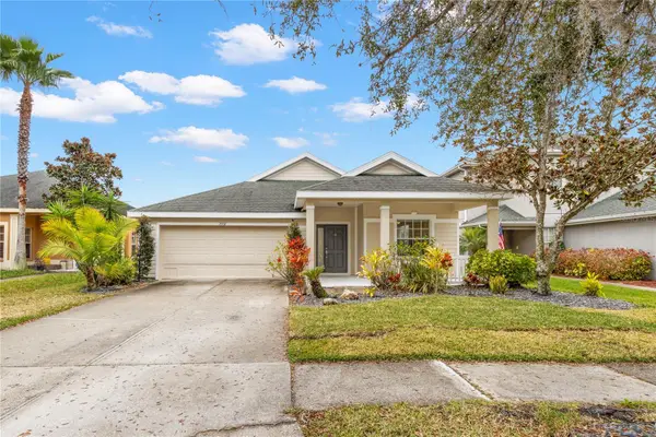 20011 Nob Oak Avenue, TAMPA, FL 33647