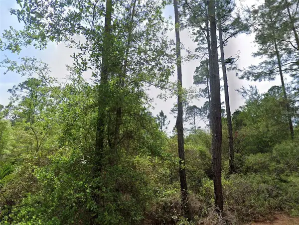 126 and 128 Grandale Street, GEORGETOWN, FL 32139