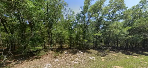 8388 N Joiner Way, CITRUS SPRINGS, FL 34434