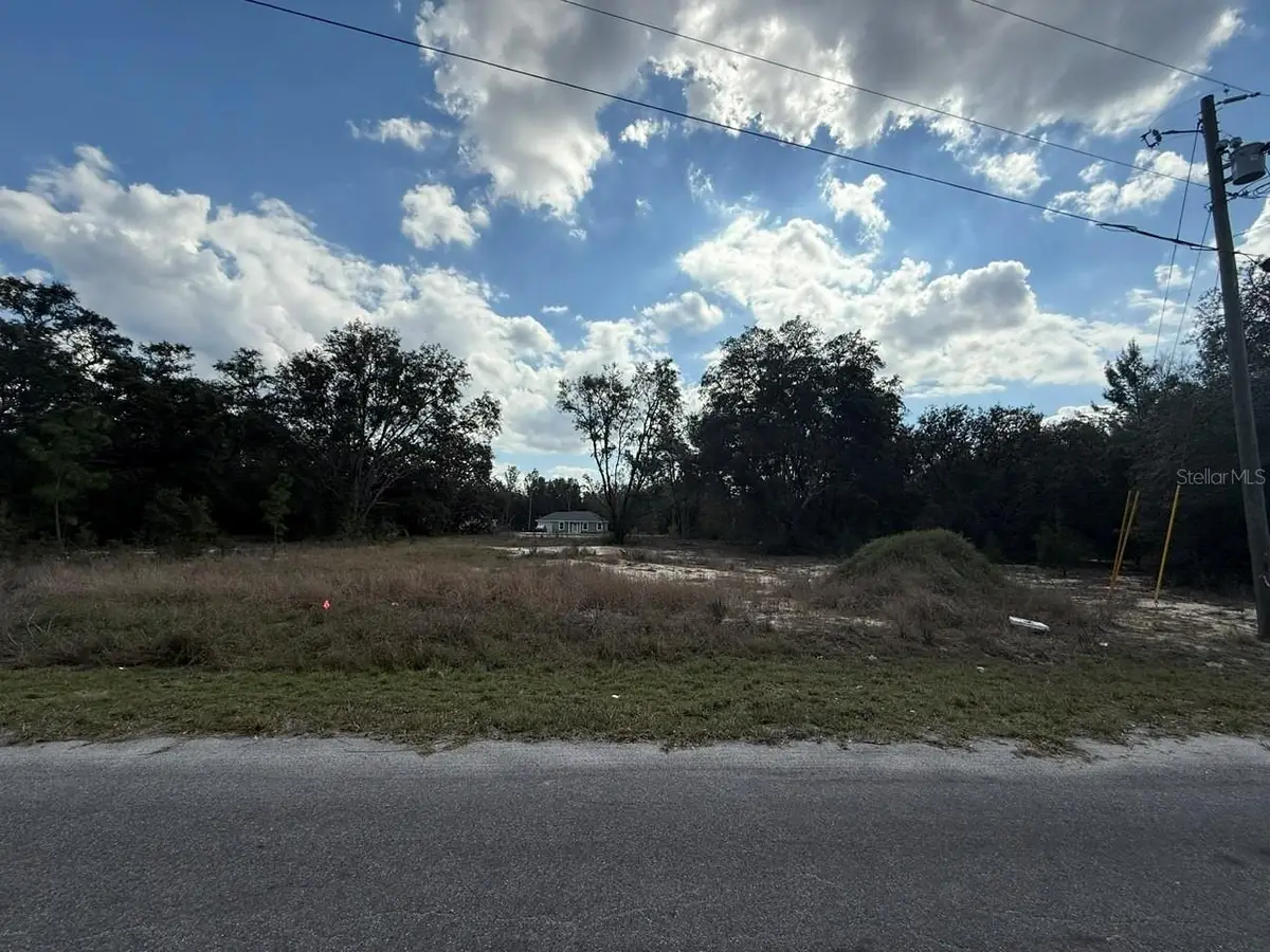 26 Fisher Way Trail, Ocklawaha, FL 32179 - #1