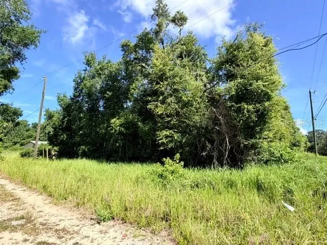 NE 249th Court, Salt Springs, FL 32134 - #1