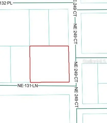 NE 249th Court, Salt Springs, FL 32134 - #2
