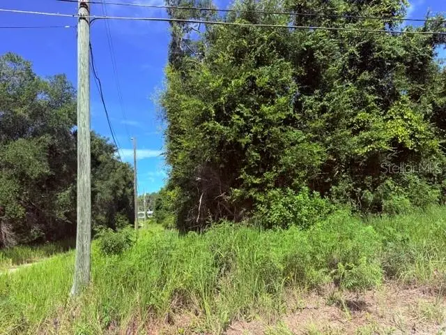 NE 249th Court, Salt Springs, FL 32134 - #3