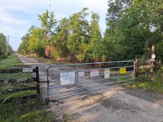 Dill Road, Orlando, FL 32820 - #2
