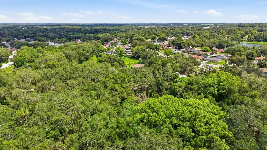 11211 Clay Pit Road, Seffner, FL 33584 - #3