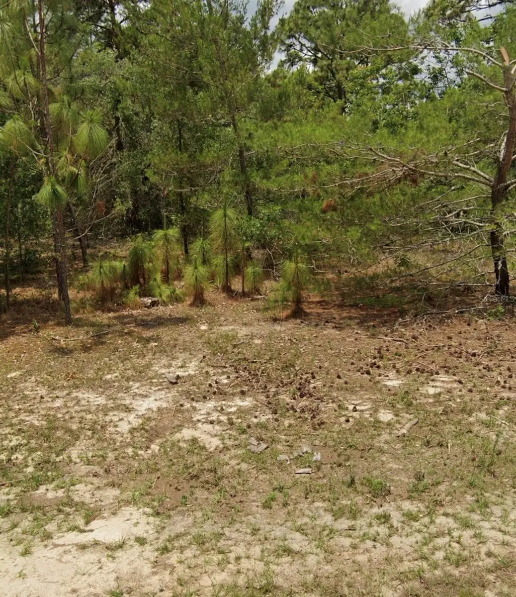 14214 SW 60th Terrace, Ocala, FL 34473 - #1