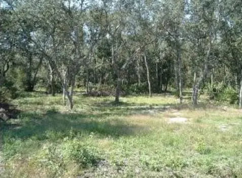 413 NE 808th Street, OLD TOWN, FL 32680
