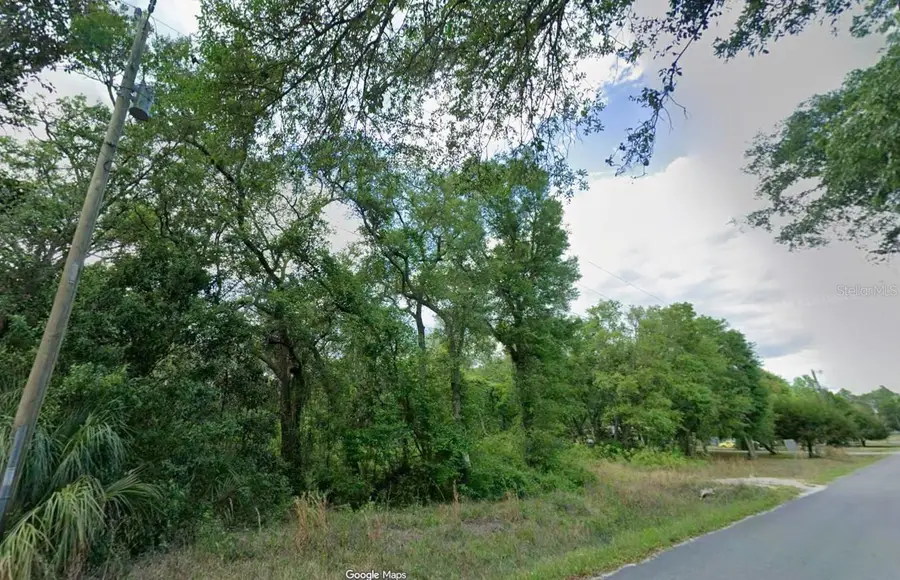 413 NE 808th Street, Old Town, FL 32680 - #3