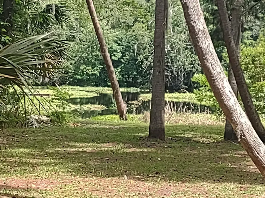 56508 Blue Creek Road, Astor, FL 32102 - #2
