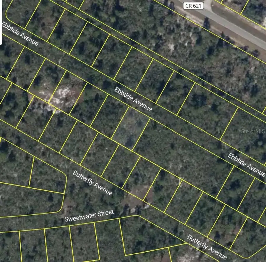 425 Ebbtide Avenue, Lake Placid, FL 33852 - #2