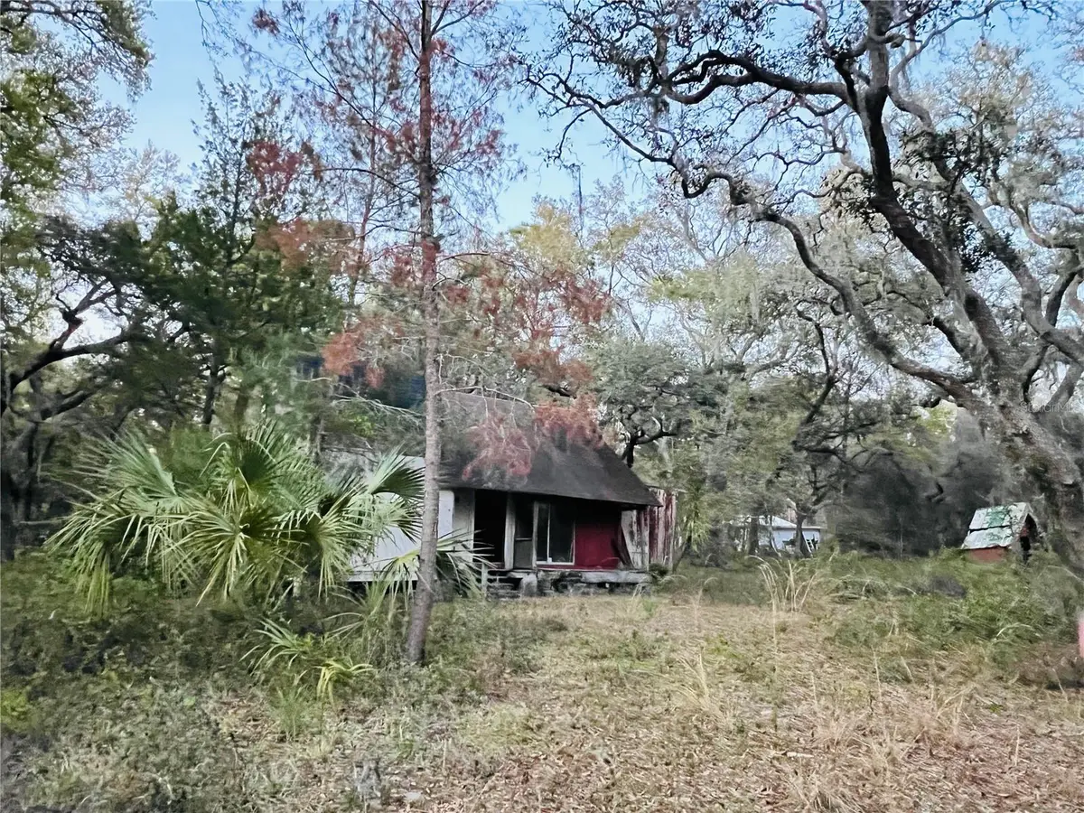 19435 SE 92nd Place, Ocklawaha, FL 32179 - #1