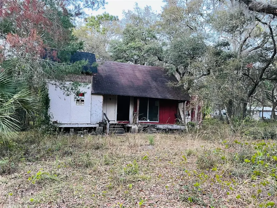 19435 SE 92nd Place, Ocklawaha, FL 32179 - #2