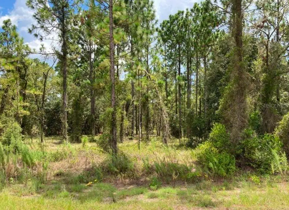 TBD SW Neptune Boulevard, Dunnellon, FL 34431 - #1